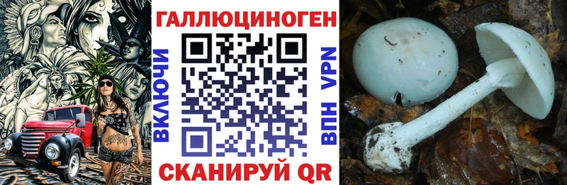 Псилоцибиновые грибы Psilocybine cubensis  Мелеуз 